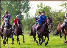 Ireland-Offaly-Offaly Equestrian Center